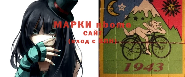 индика Гусь-Хрустальный