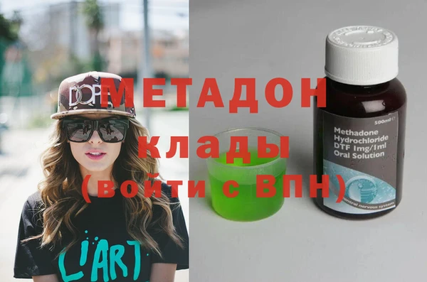 индика Гусь-Хрустальный
