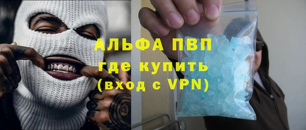 ECSTASY Гусев