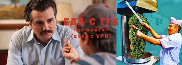 индика Гусь-Хрустальный