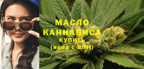 индика Гусь-Хрустальный