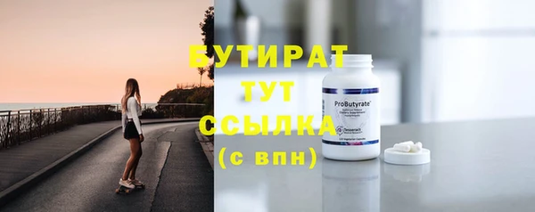 индика Гусь-Хрустальный