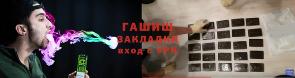 индика Гусь-Хрустальный