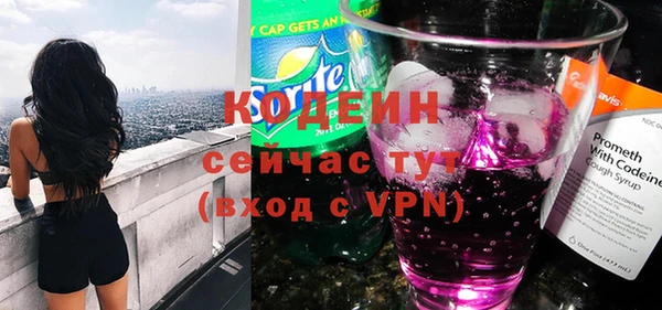 индика Гусь-Хрустальный