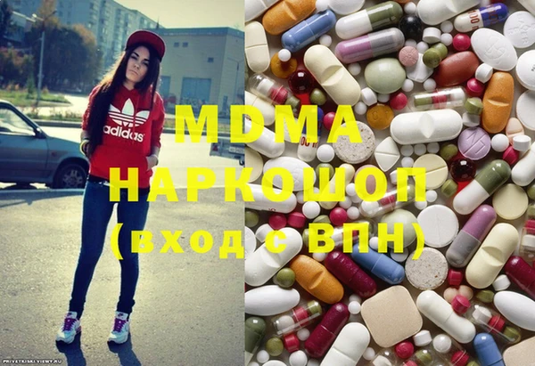 индика Гусь-Хрустальный