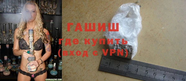 индика Гусь-Хрустальный