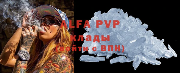 индика Гусь-Хрустальный