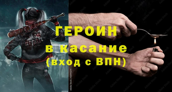 индика Гусь-Хрустальный