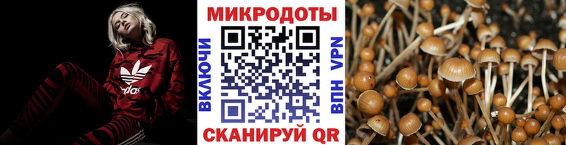 Купить закладки  Кушва  Псилоцибиновые грибы Psilocybine cubensis 